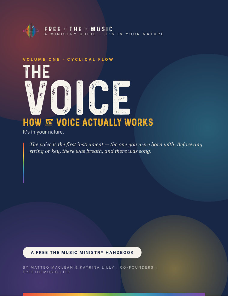 The Voice handbook cover
